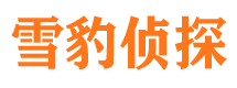 海南调查公司